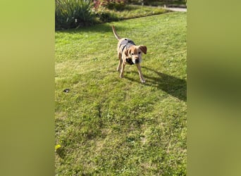 Lilly ❤️Ältere Herzensdame wartet in 23970