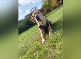 Lilly ❤️Ältere Herzensdame wartet in 23970
