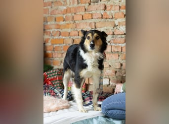 ORFEY Sucht Anschluss (Ukraine)