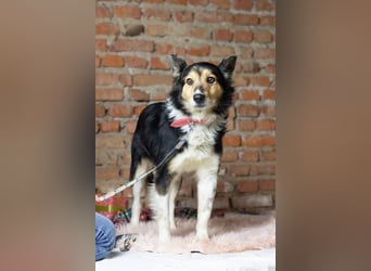 ORFEY Sucht Anschluss (Ukraine)