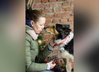 ORFEY Sucht Anschluss (Ukraine)