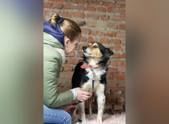 ORFEY Sucht Anschluss (Ukraine)