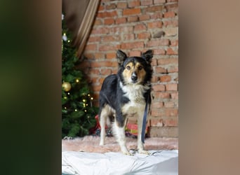 ORFEY Sucht Anschluss (Ukraine)