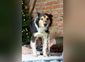 ORFEY Sucht Anschluss (Ukraine)