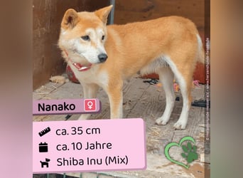 Nanako