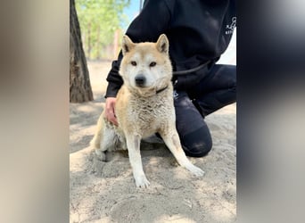 Naraku sucht einen Gnadenplatz