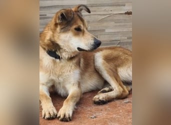 Santo, freundlich und sozial