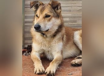 Santo, freundlich und sozial