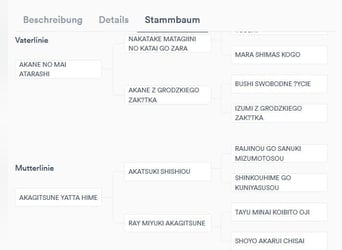 AMANE hübsche Hündin der Rasse SHIBA INU mit rotem Fell mit FCI dokumenten