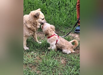 Bob sucht am Liebsten mit Schwester ein Zuhause