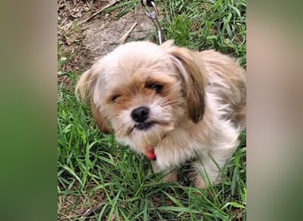 Bob sucht am Liebsten mit Schwester ein Zuhause