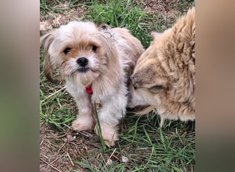 Bob sucht am Liebsten mit Schwester ein Zuhause