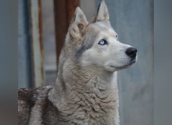 Hanna, ca. 2023/24 geboren, selbstbewusst und aktiv
