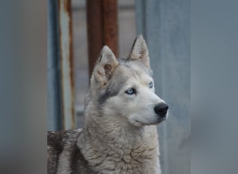 Hanna, ca. 2023/24 geboren, selbstbewusst und aktiv