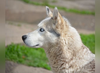 Hanna, ca. 2023/24 geboren, selbstbewusst und aktiv