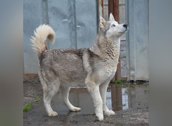 Hanna, ca. 2023/24 geboren, selbstbewusst und aktiv