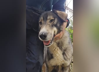 Duke: will was erleben -mit seinen Menschen!