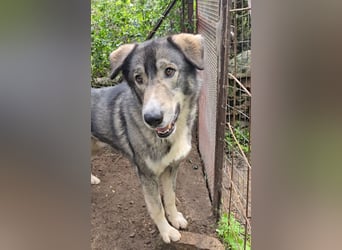 Duke: will was erleben -mit seinen Menschen!