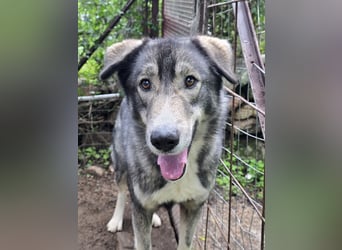 Duke: will was erleben -mit seinen Menschen!