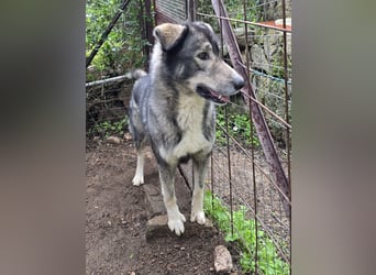 Duke: will was erleben -mit seinen Menschen!