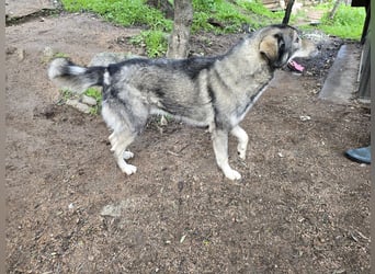 Duke: will was erleben -mit seinen Menschen!