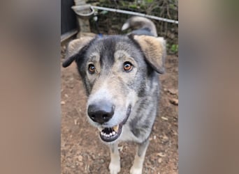 Duke: will was erleben -mit seinen Menschen!