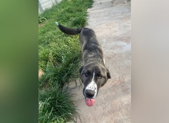 Emma sucht ihre Familie