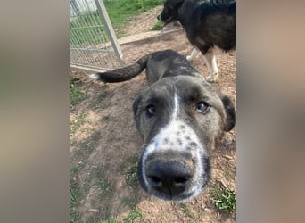 Emma sucht ihre Familie