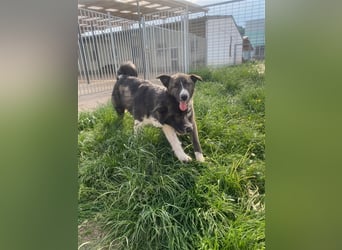 Emma sucht ihre Familie