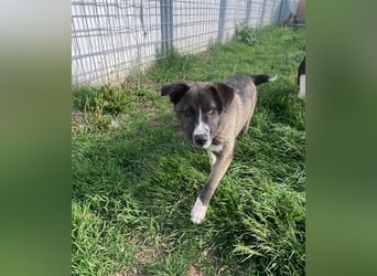 Emma sucht ihre Familie