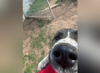 Emma sucht ihre Familie