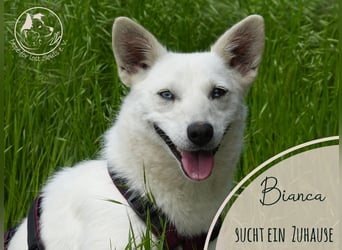 Hübsche Bianca sucht ihre Herzensmenschen