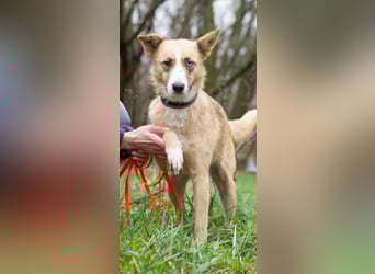 Tavita - Verspielt & Lebensfroh (Ukraine)