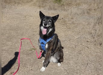 Oma Tammy sucht Menschen mit Herz