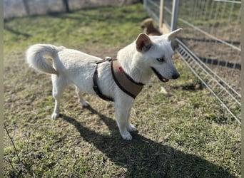 Hübsche Bianca sucht ihre Herzensmenschen