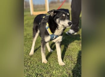 Hübsche Alexa sucht eine liebevolle Fami