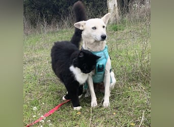 Hübsche Bianca sucht ihre Herzensmenschen