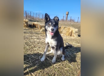Hübsche Alexa sucht eine liebevolle Familie