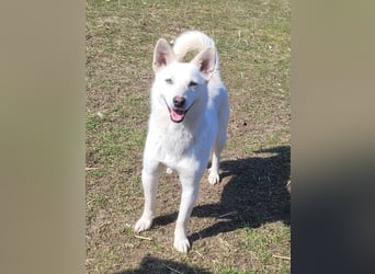 Hübsche Bianca sucht ihre Herzensmenschen