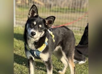 Hübsche Alexa sucht eine liebevolle Fami