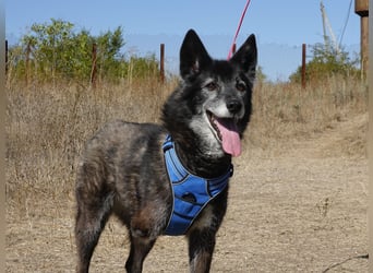 Oma Tammy sucht Menschen mit Herz