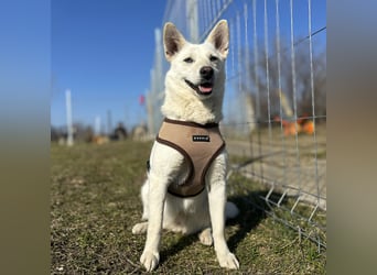 Hübsche Bianca sucht ihre Herzensmenschen