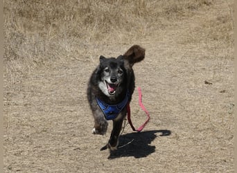 Oma Tammy sucht Menschen mit Herz
