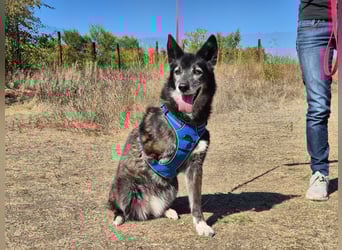 Oma Tammy sucht Menschen mit Herz