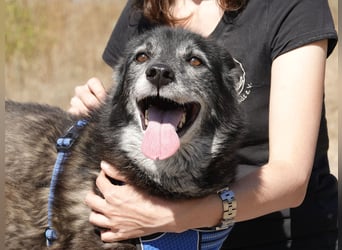 Oma Tammy sucht Menschen mit Herz