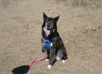 Oma Tammy sucht Menschen mit Herz