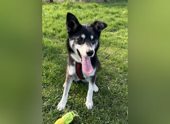 Hübsche Alexa sucht eine liebevolle Fami