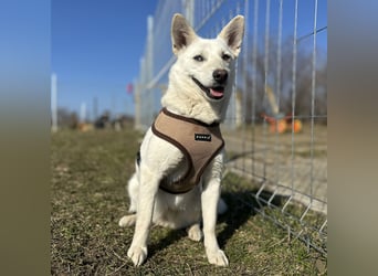 Hübsche Bianca sucht ihre Herzensmenschen