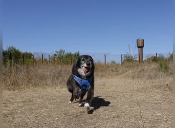Oma Tammy sucht Menschen mit Herz