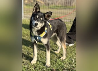 Hübsche Alexa sucht eine liebevolle Fami